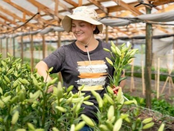 Programa- Tierra-Joven