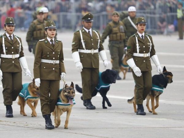 Parada Militar de 2024