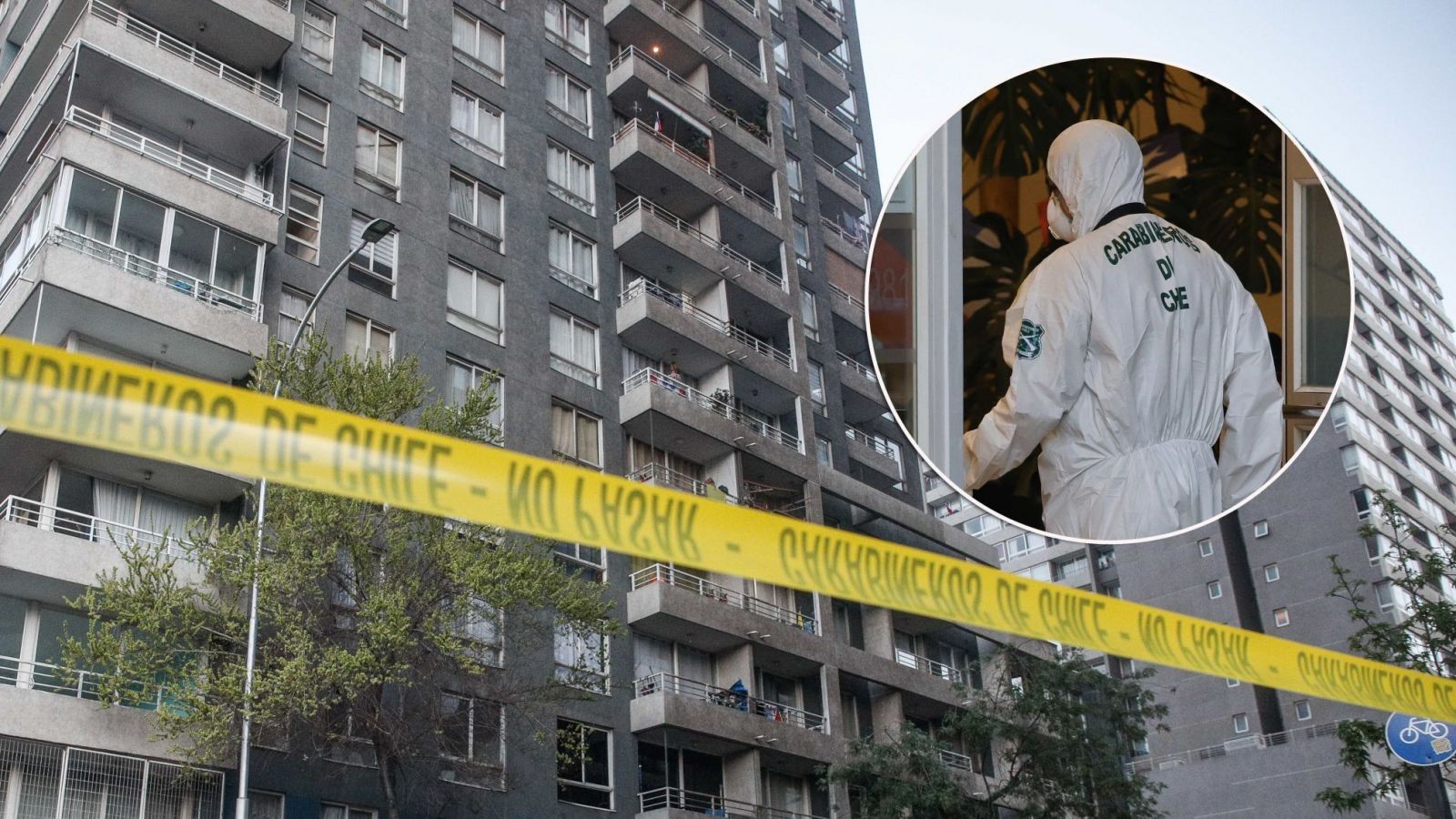 Hijo de 1 año sobrevivió a brutal femicidio en Santiago