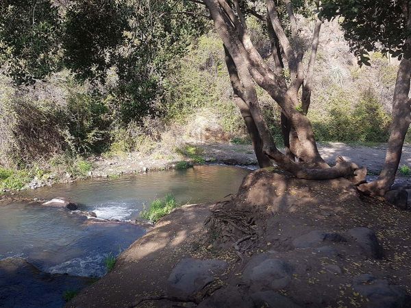 Vista del Estero del Arrayán rodeado de vegetación nativa en Lo Barnechea.