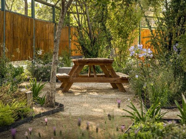 Pacientes y funcionarios disfrutando de un jardín sanador en un hospital público de Chile, espacio natural que contribuye a reducir el estrés y mejorar el bienestar.