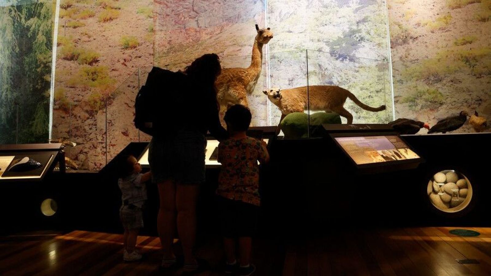 Noche de museos