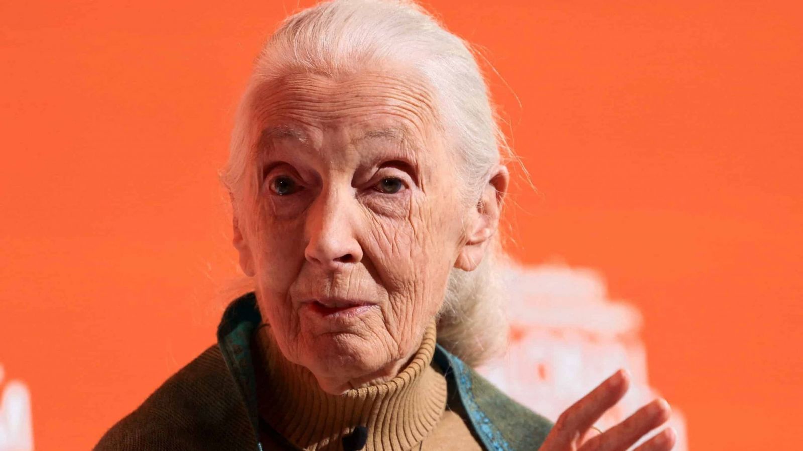 Jane Goodall