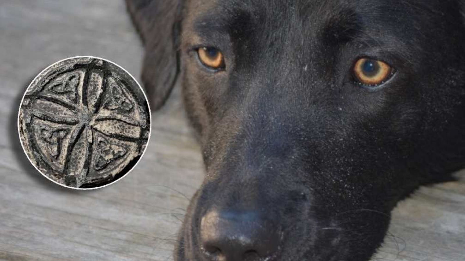 El supuesto ritual que conmueve a Puerto Montt