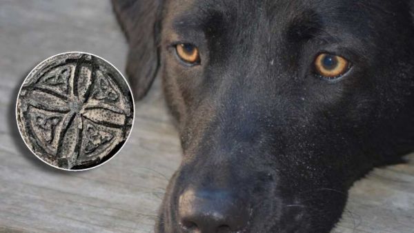 El supuesto ritual que conmueve a Puerto Montt