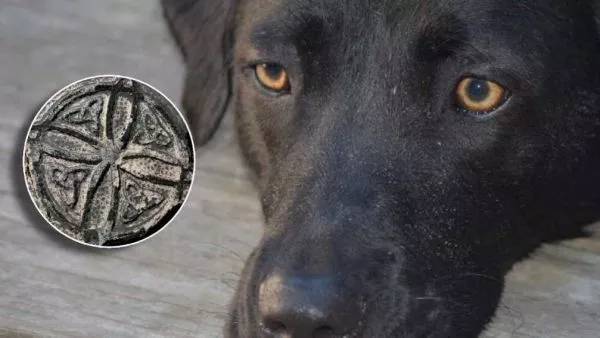 El supuesto ritual que conmueve a Puerto Montt