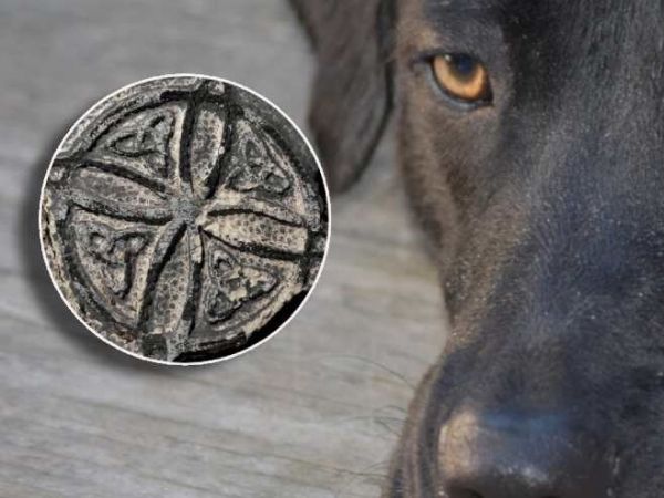 El supuesto ritual que conmueve a Puerto Montt