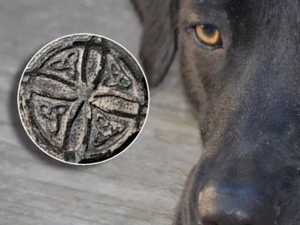 El supuesto ritual que conmueve a Puerto Montt