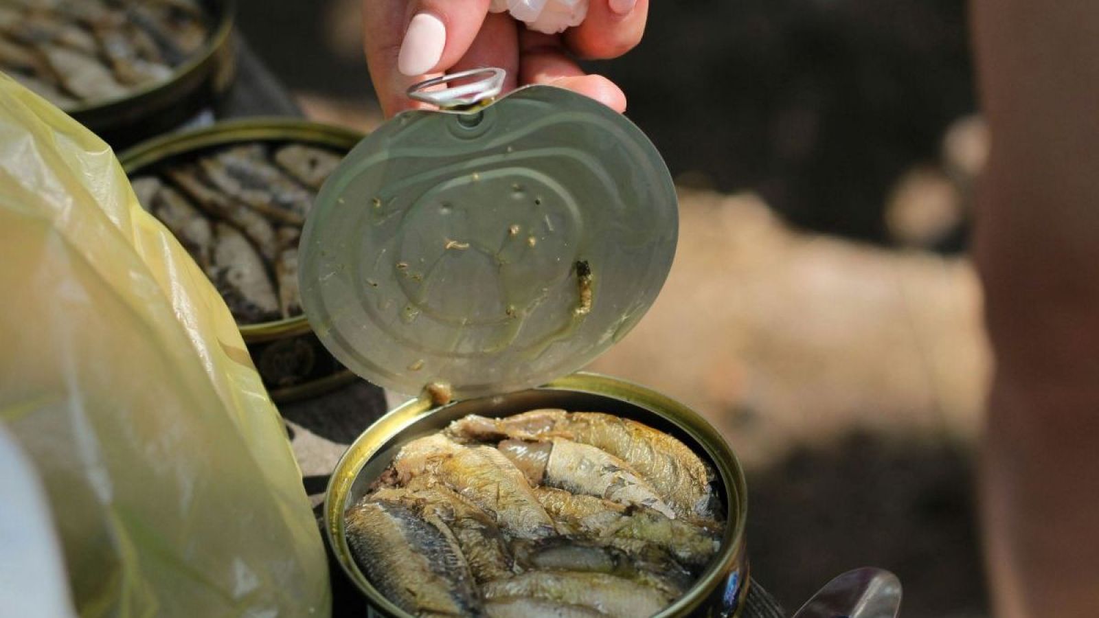 alimentacion chilenos