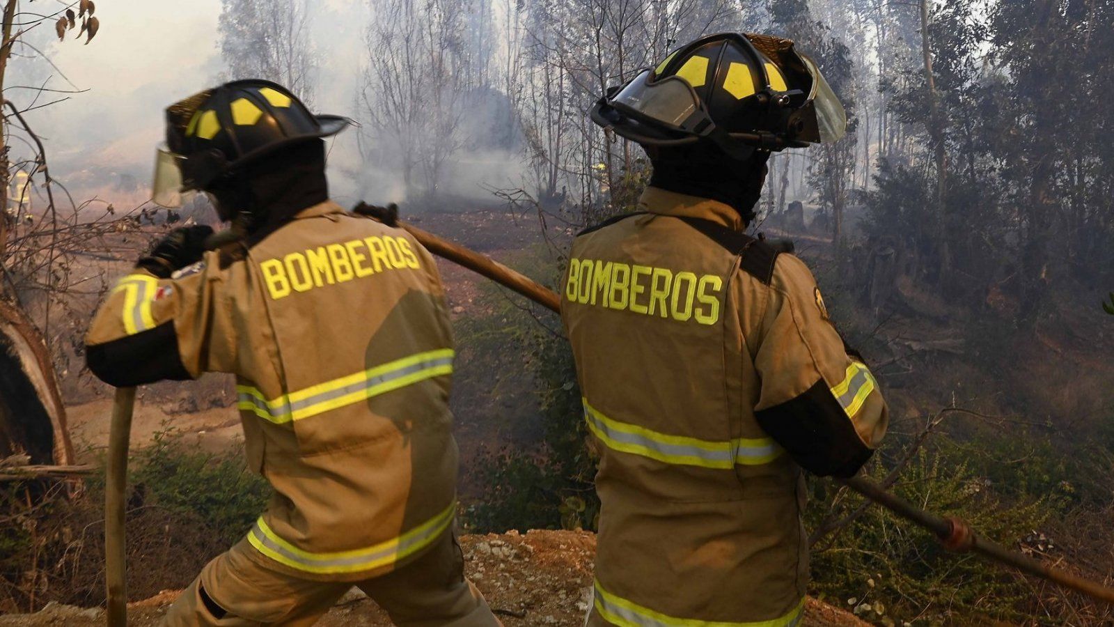 Incendio forestal