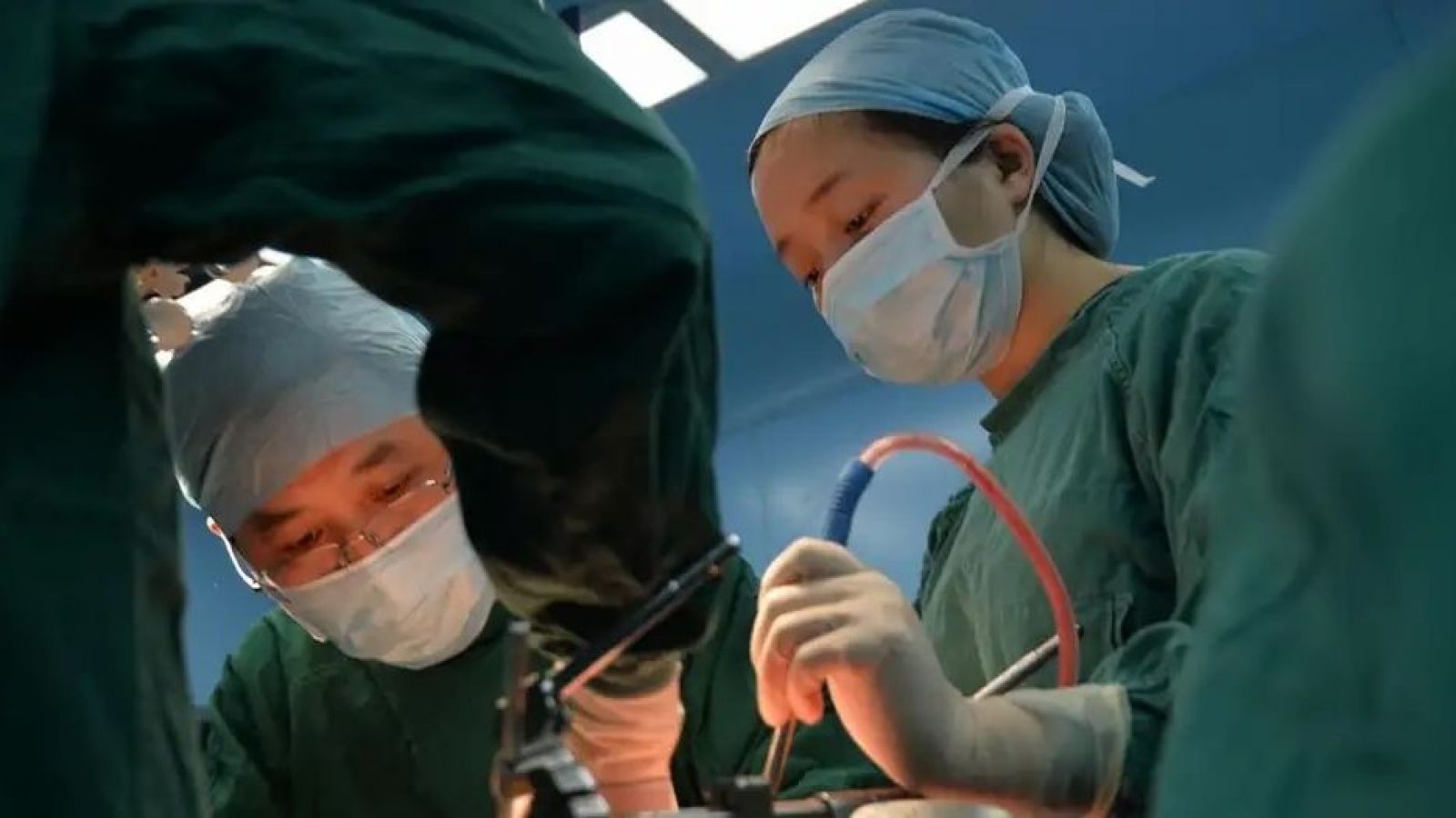 Paciente sobrevive meses con un hígado de cerdo modificado