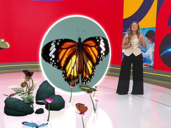 Conciencia 24.7 en 24 Horas: 10 de octubre 2025.