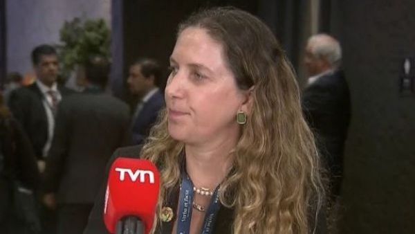 Rosario Navarro, presidenta de la Sofofa