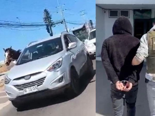 Sujeto detenido por abigeato y maltrato animal en Coquimbo