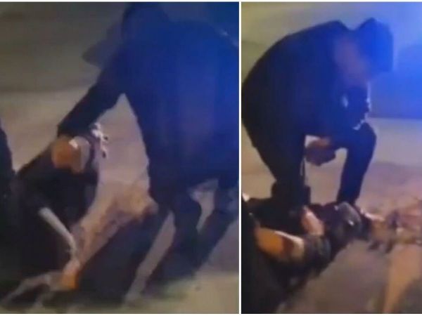 Detención de sospechoso en desaparición de Krishna Aguilera