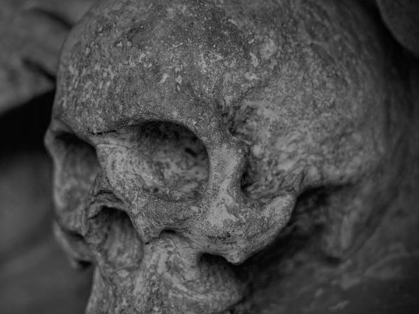 Cráneo. Foto referencial.