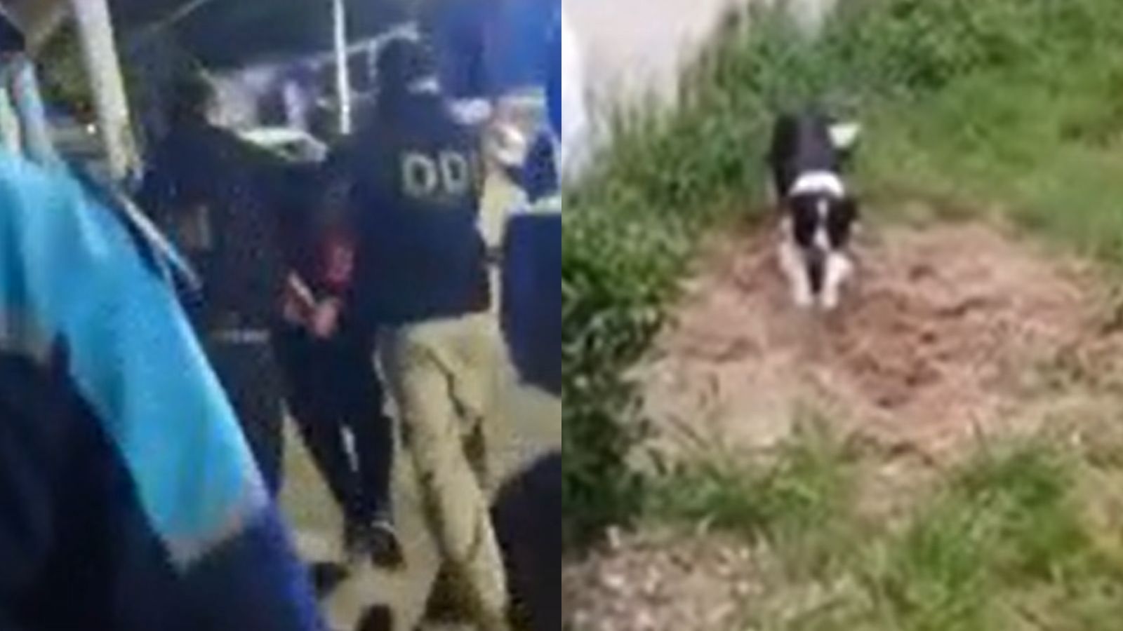 Hombre asesina a su jefe