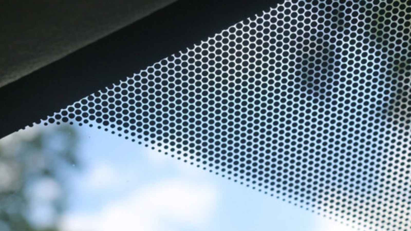 Puntos negros del parabrisas