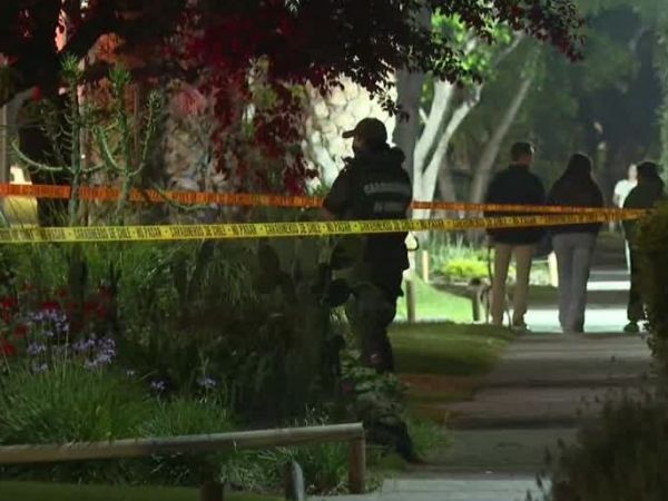 Parricidio y suicidio en La Reina