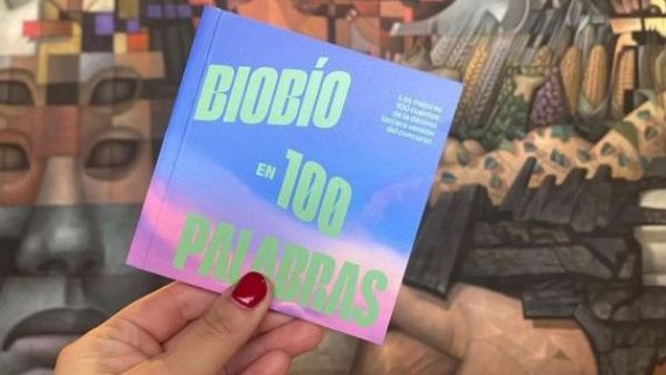 Últimos días para participar en Biobío en 100 Palabras: estos son los premios en dinero