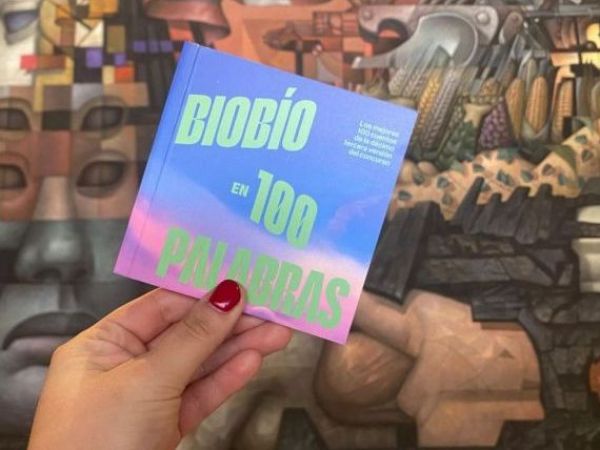 Últimos días para participar en Biobío en 100 Palabras: estos son los premios en dinero