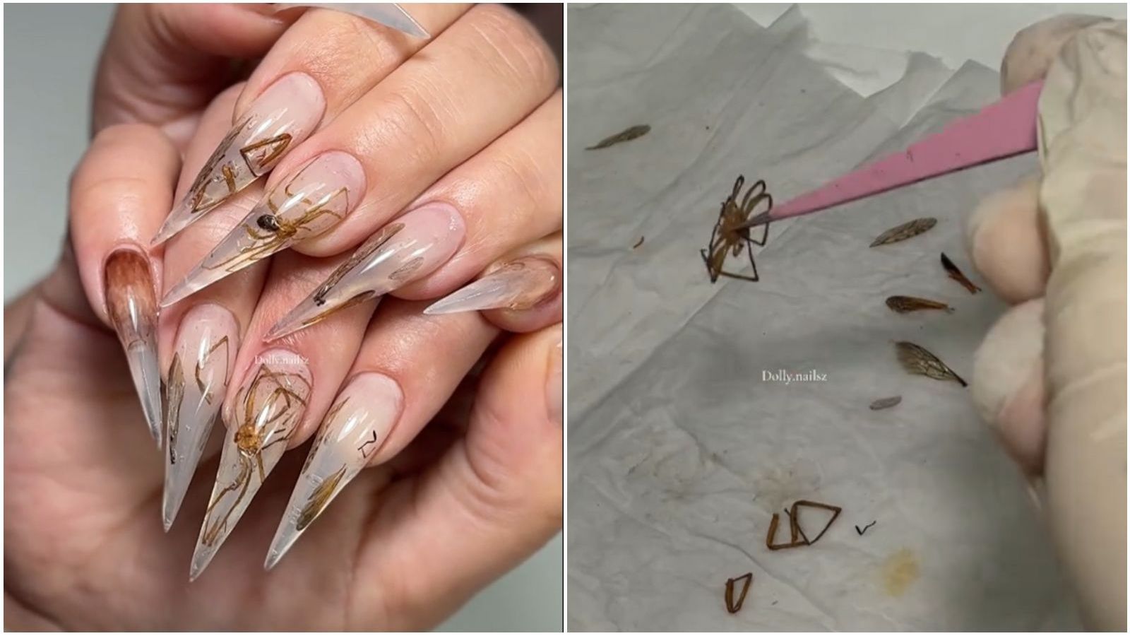 Manicurista chilena hace uñas con insectos