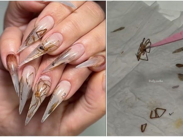 Manicurista chilena hace uñas con insectos
