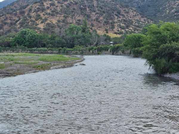 Adolescente desaparecido en río Maipo