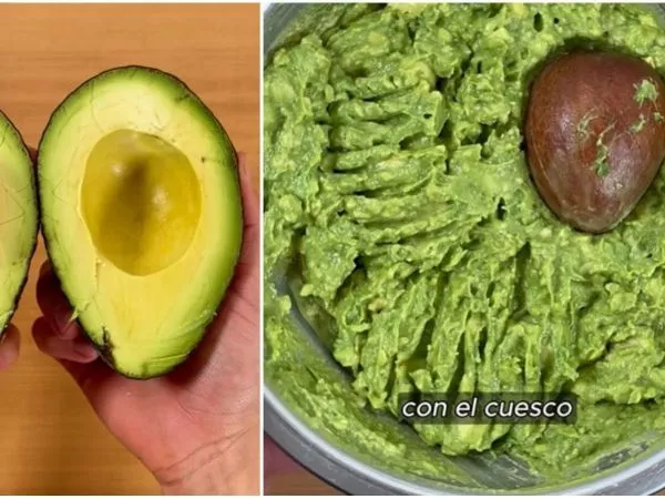 Influencer desmiente secreto para evitar que se oxide palta