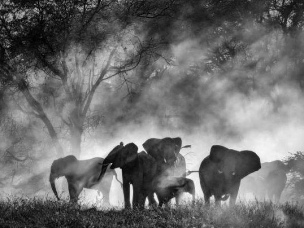 Película que se presentará en Fidocs