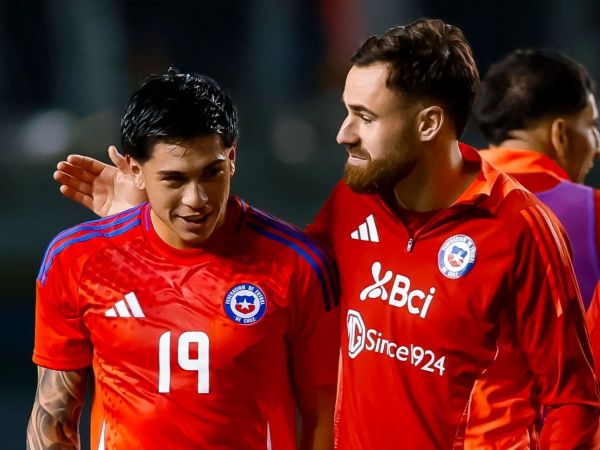 Plantel de la Selección Chilena celebrando un gol