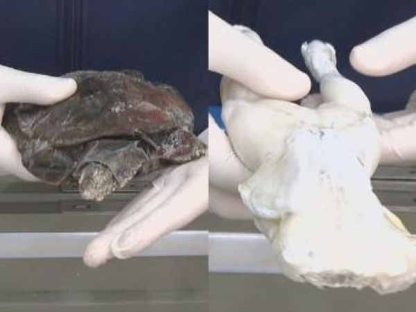 Productos del mall chino fiscalizado