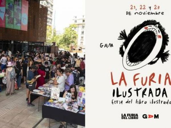 La Furia Ilustrada de La Furia del Libro