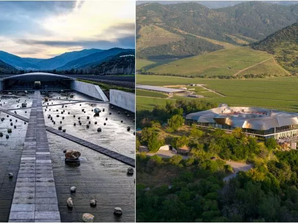 Viña chilena fue premiada como la mejor del mundo