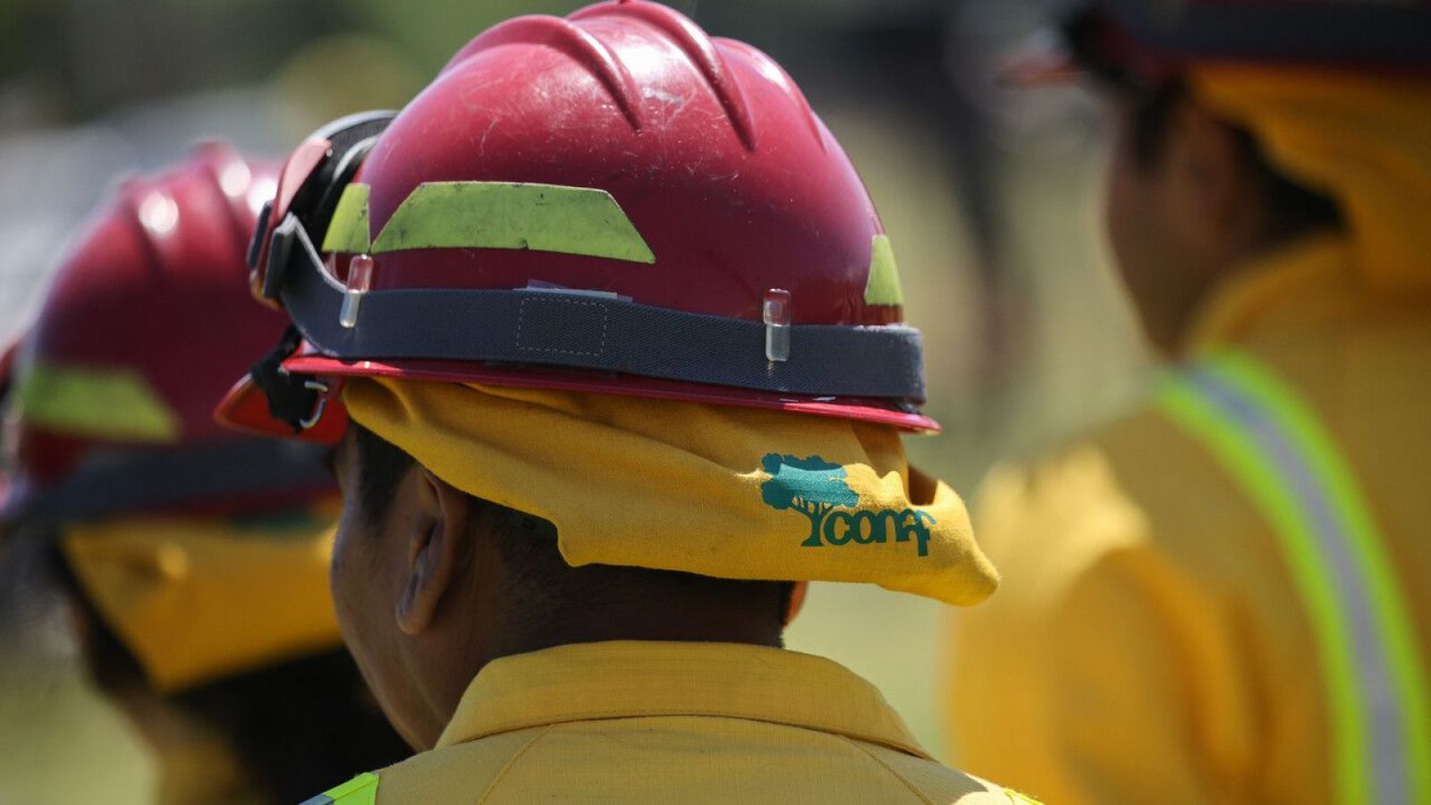 Conaf se refiere a tragedia en Torres del Paine