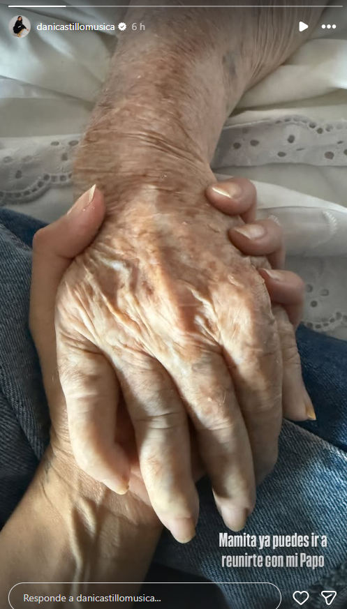 Instagram Daniela Castillo