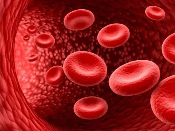 Cancer hematológico