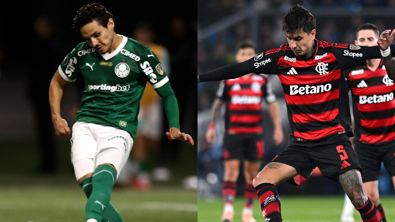 Palmeiras versus Flamengo