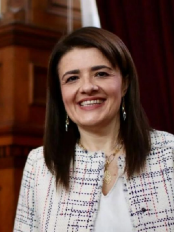 La hora de Verónica Sabaj: Fiscalía se querella contra exjueza y solicita su desafuero ante la justicia