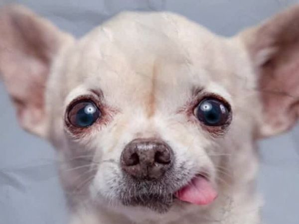 Conciencia 24.7 en 24 Horas: 27 de noviembre de 2025