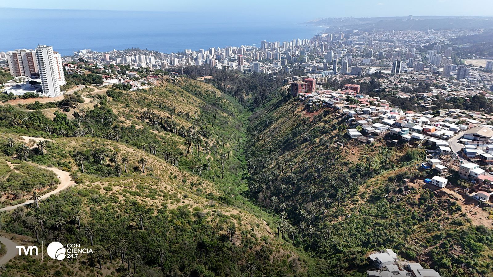 Humedal Urbano Kan Kan en Viña del Mar.
