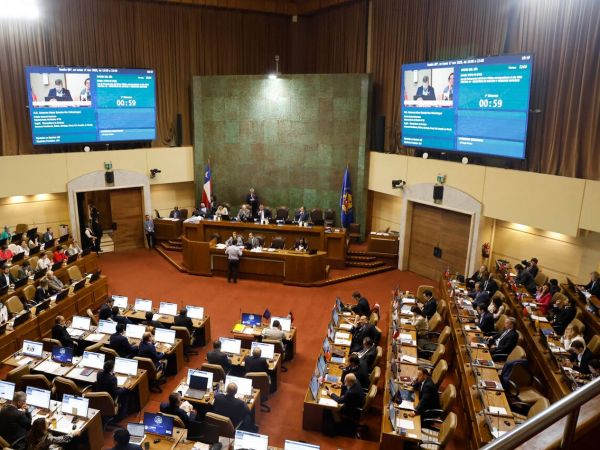 Diputados electos en Estado Nacional