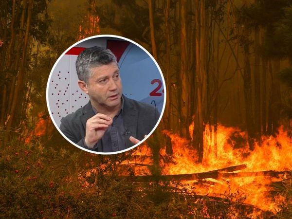 Víctor Orellana, director de VOA Consultores y exsubdirector ONEMI, por incendios