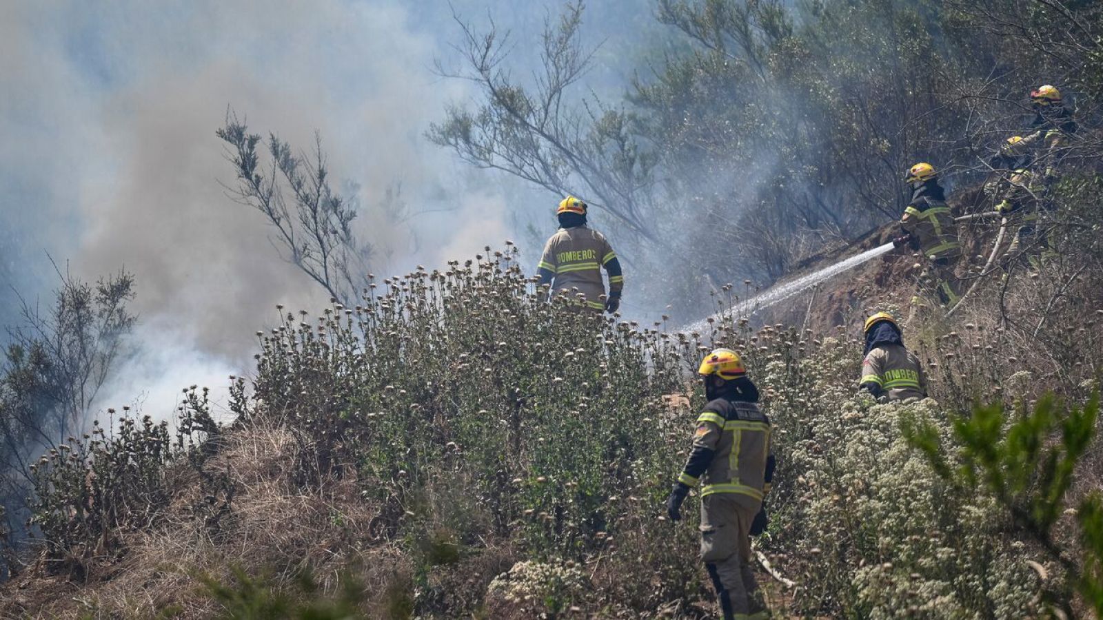 Combaten incendio