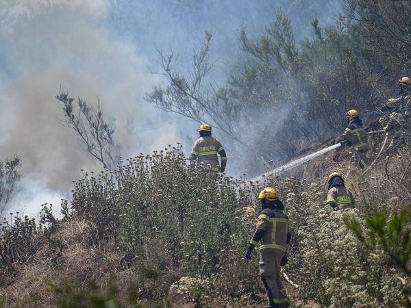 Combaten incendio
