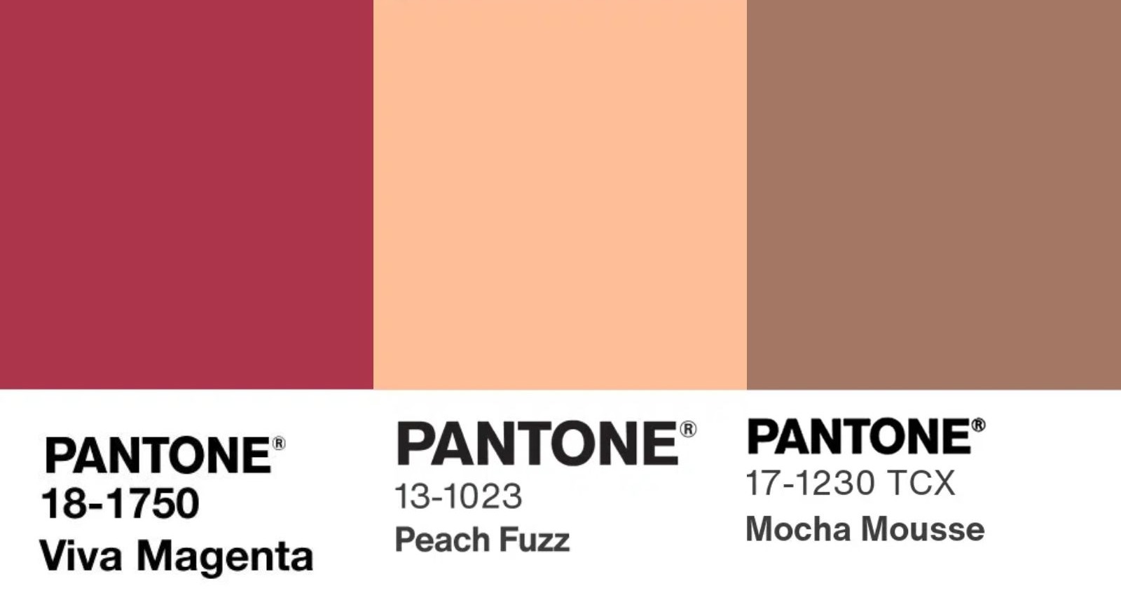 Colores del año Pantone 2023, 2024 y 2025