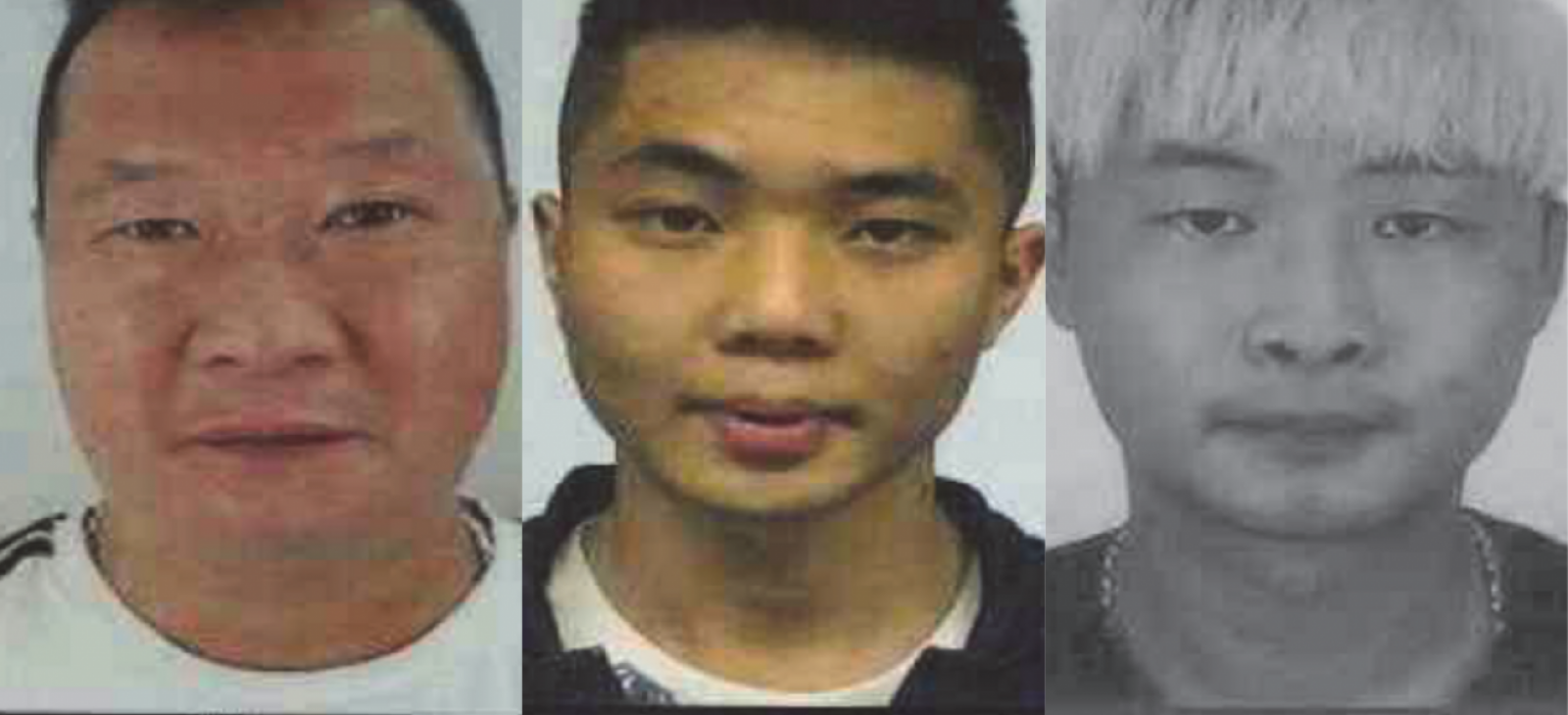 Mafia “Hongmen” en Meiggs: la sangrienta red criminal china detectada por primera vez en Chile