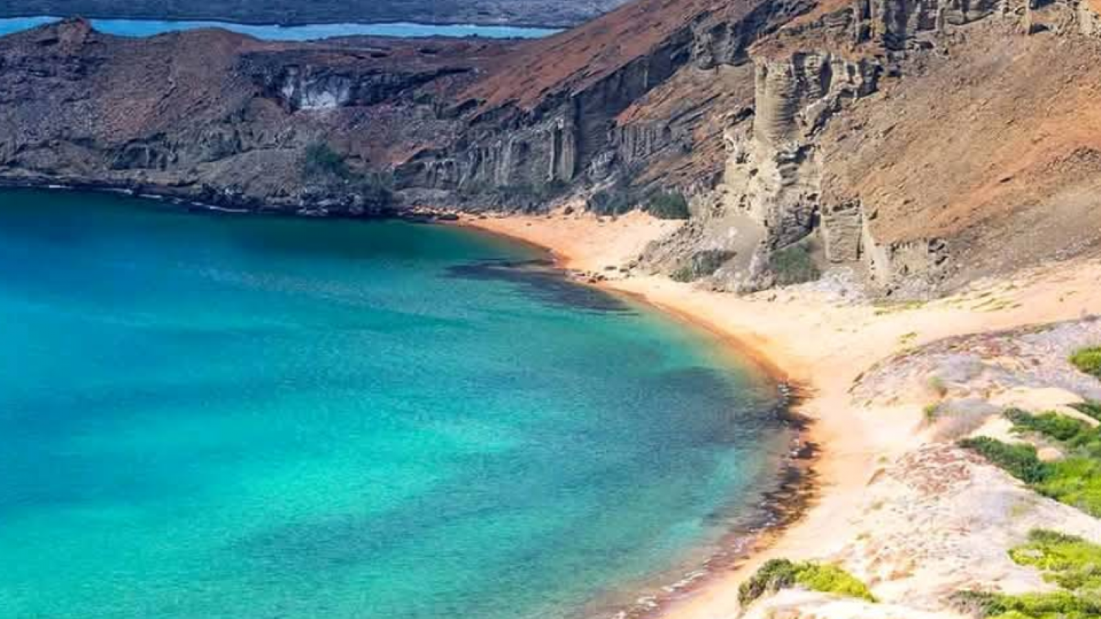 Encuentran más de 1.300 bloques de cocaína en playa de las Islas Galápagos