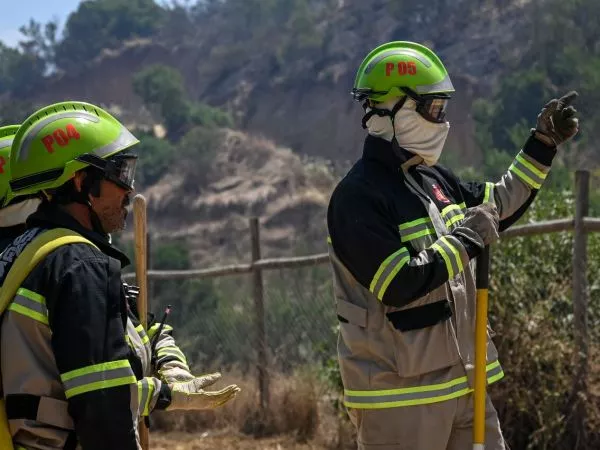 Incendio forestal