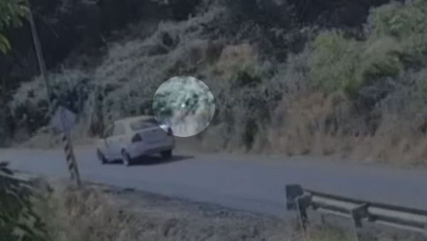 Video muestra a bombero iniciando incendio forestal en La Cruz